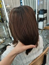 -藤野造型