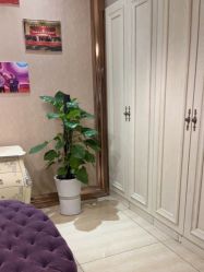 -天姿美容·美体科技SPA·艾姿美店