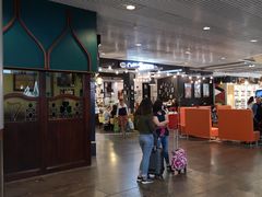 -谢列梅捷沃国际机场