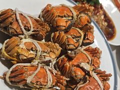 -杨氏青龙虾·羊蝎子(托乐嘉店)