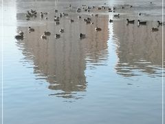 -前关湿地公园