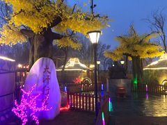 -大汗行宫园林餐厅