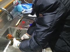 -河马鲜生海鲜超市(风荷园店)