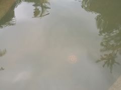 -楼观道温泉酒店