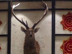 -东北风(江北万达店)