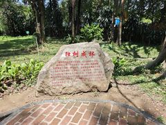 -独树成林