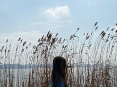 -上海市保健医疗中心