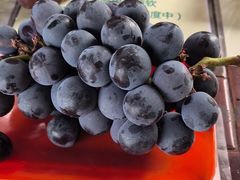 -马陆小张葡萄园农家乐