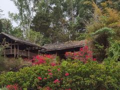 -深圳国际园林花卉博览园