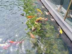 -太子园林酒家