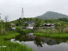 -西湖风景区-江洋畈生态公园