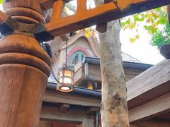 -Tangled Tree Tavern 老藤树食栈