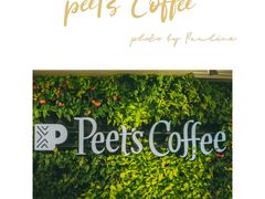 -Peet's Coffee皮爷咖啡(大学路店)