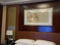 -常州武进九洲喜来登酒店