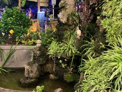 -海韵人家.海景花园经典云南菜(双廊店)