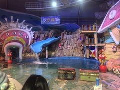 -烟台海昌鲸鲨海洋公园