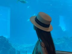 -涛·海底餐厅·美人鱼·自助餐·海底隧道(三亚海棠湾洲际度假酒店)