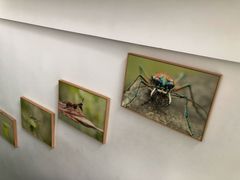 -上海昆虫博物馆