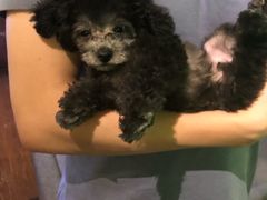 -默迹咖啡馆