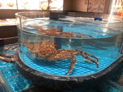 -百富源·海鲜辽菜(张士店)