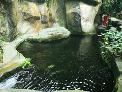 -南山植物园