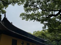 -普陀山慧济禅寺