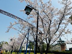 -海合安苏州阳澄半岛乐园