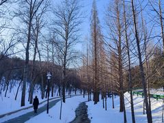 -白水寺森林公园