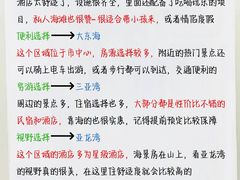 -三亚海棠湾喜来登度假酒店大堂吧