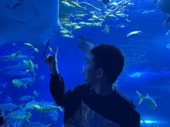 -太平洋海底世界