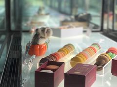 马卡龙-1Cake壹刻蛋糕(奥体公园味觉艺术馆店)