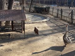 -北京梧桐树双语幼儿园