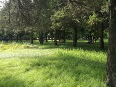 -西北农林科技大学(北校区)