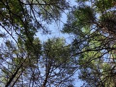 -白草畔自然风景区