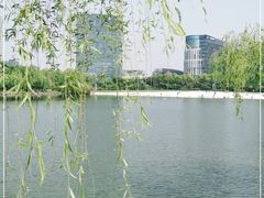 -大宁公园