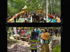 -合肥滨湖国家森林公园