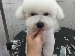 -萌萌喵宠物(百水芊城阅水坊店)