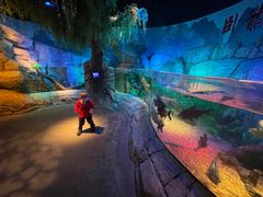 -沈阳海洋探索中心