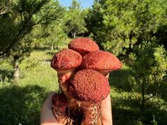 -奇迹健身(SM广场店)