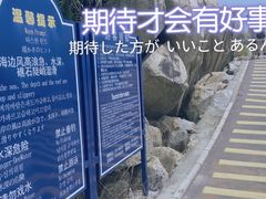 -广东惠东海龟国家级自然保护区