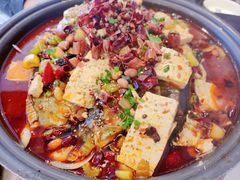 巫山烤鱼（香辣）-春饼家常菜(百子湾店)