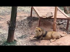 -昆明动物园