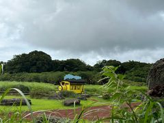 -济州森林小火车生态公园