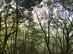 -梧桐山风景名胜区