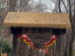 -井塘古村