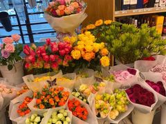 -绿叶子(春秀路店)