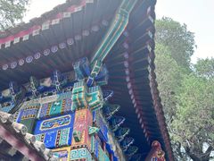 -皇家御河游(紫御湾码头)
