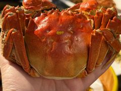-七的湖·江南蟹舫·阳澄湖农家菜(蟹舫苑店)