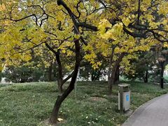 -玲珑塔公园