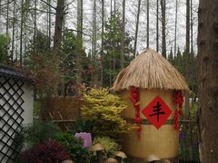 -东平国家森林公园